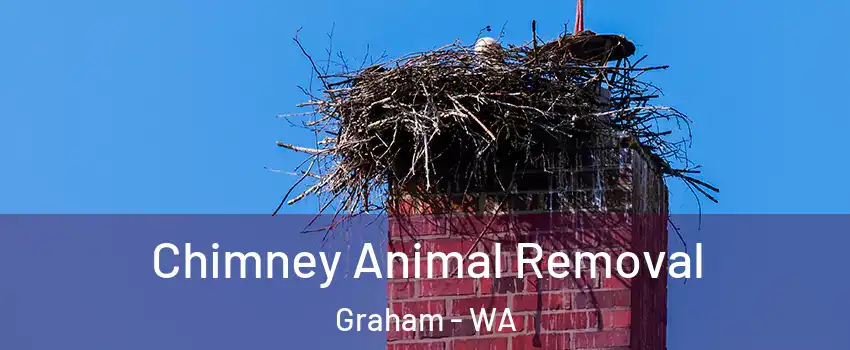  Chimney Animal Removal Graham - WA