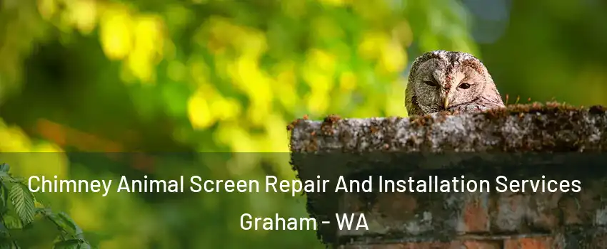  Chimney Animal Screen Repair And Installation Services Graham - WA