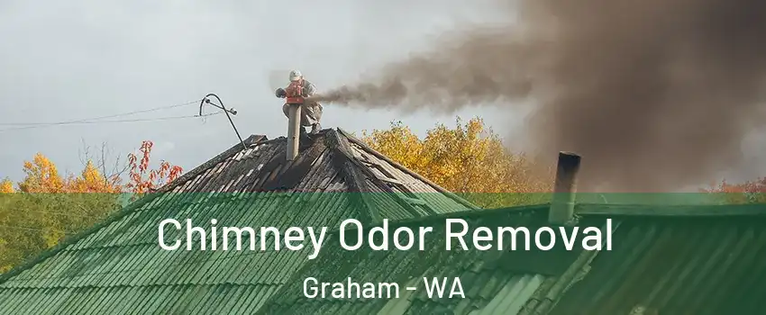  Chimney Odor Removal Graham - WA