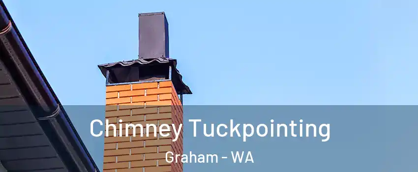 Chimney Tuckpointing Graham - WA