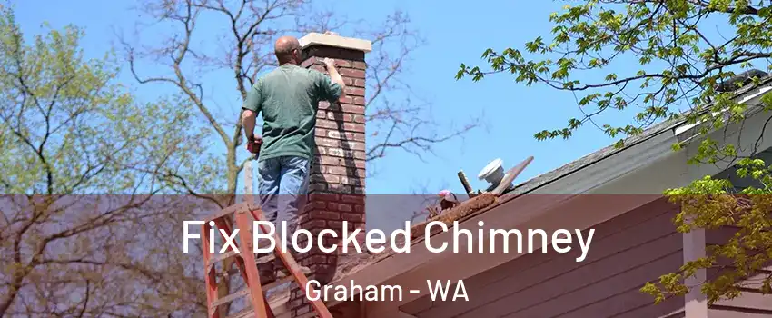  Fix Blocked Chimney Graham - WA