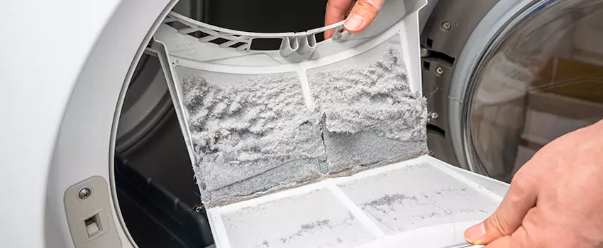 Best Dryer Lint Removal Company in Graham, Washington