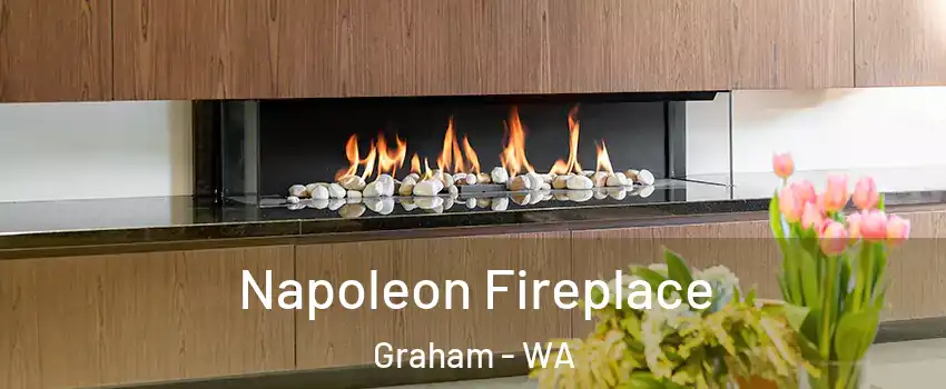 Napoleon Fireplace Graham - WA